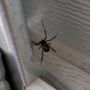 Photo of A & B Termite & Pest Control