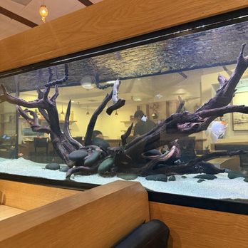 Quan Hy Restaurant - Couple nice fish tanks - Vietnamese Near Me - Westminster, California Quan Hy Restaurant - Couple nice fish tanks - Vietnamese Near Me - Westminster, California