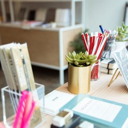 Terratorie Maps + Goods