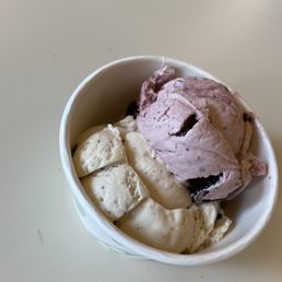 2 scoops 2 scoops