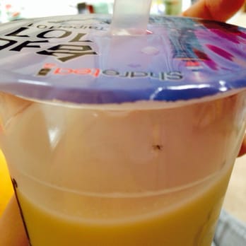 Sharetea - Bug.... - Coffee & Tea Near Me - San Jose, California Sharetea - Bug.... - Coffee & Tea Near Me - San Jose, California