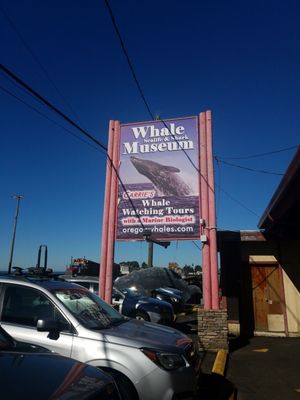 Whale, Sea Life, & Shark Museum by null