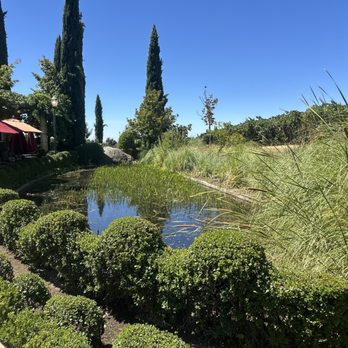Villa Toscano Winery - Wineries Near Me - Plymouth, California Villa Toscano Winery - Wineries Near Me - Plymouth, California