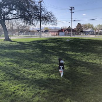 Spanish Fork Dog Park - Dog Parks Near Me - Spanish Fork, Utah Spanish Fork Dog Park - Dog Parks Near Me - Spanish Fork, Utah