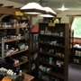 Photo of Ravenswood Natural Health