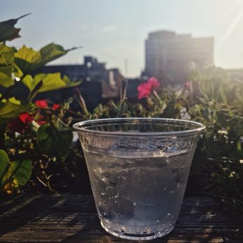 Scruffy City Hall - Nicely made drink on the rooftop nearing sundown. - Bars Near Me - Knoxville, Tennessee