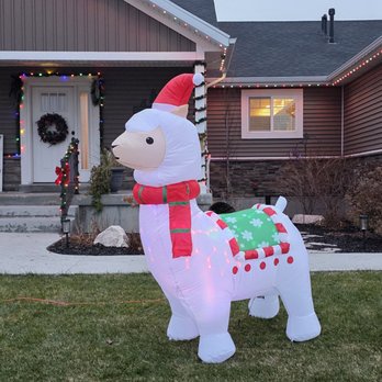 Enchanted Hollow Alpacas - Welcome to our Alpaca Christmas Wonderland - Attraction Farms Near Me - Elwood, Utah Enchanted Hollow Alpacas - Welcome to our Alpaca Christmas Wonderland - Attraction Farms Near Me - Elwood, Utah