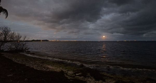 Matheson Hammock Park & Marina charquito by null