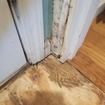 Handy Gal - Before- Water damage to wood floors - Handyman Near Me - Orangevale, California Handy Gal - Before- Water damage to wood floors - Handyman Near Me - Orangevale, California