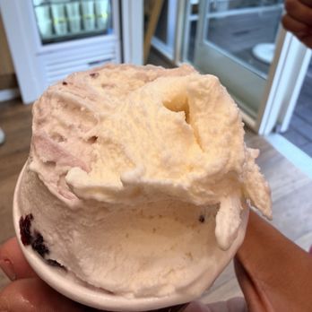 Bacio Di Latte - Ice Cream & Frozen Yogurt Near Me - San Jose, California Bacio Di Latte - Ice Cream & Frozen Yogurt Near Me - San Jose, California