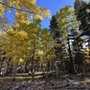 Photo of Carson National Forest