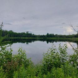 Big Bog State Recreation Area - Like glass