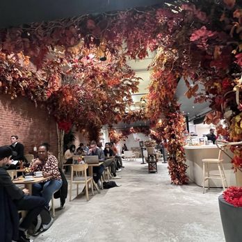Ariston Flowers & Cafe - Fall Decor - Coffee & Tea Near Me - New York, New York Ariston Flowers & Cafe - Fall Decor - Coffee & Tea Near Me - New York, New York
