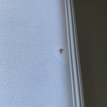 The English Painter - Paint on brand new shade. It's wet from trying to scrub it off but it sadly won't budge. - Painters Near Me - Orlando, Florida