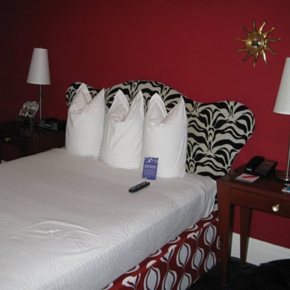 Hotel Triton - bedroom (with 1 queen-size bed) - Hotels Near Me - San Francisco, California Hotel Triton - bedroom (with 1 queen-size bed) - Hotels Near Me - San Francisco, California