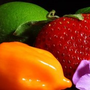 Photo of Word of Mouth Catering