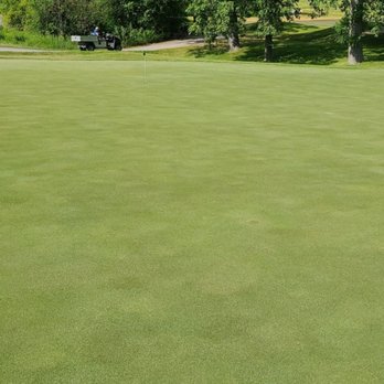 The Bog - Nice greens! - Golf Near Me - Saukville, Wisconsin The Bog - Nice greens! - Golf Near Me - Saukville, Wisconsin