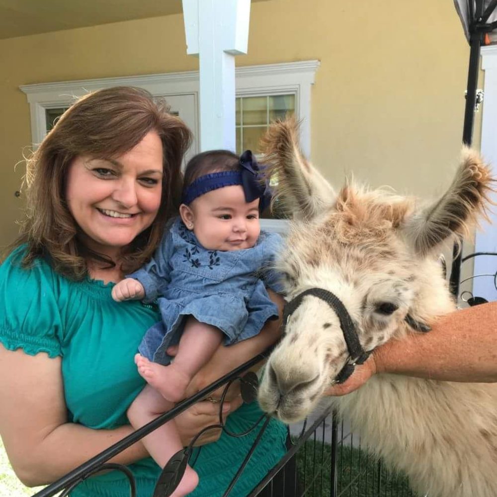 ABC Child Care Village - Petting Zoo came to visit the kids!!! she loved it!!! I love ABC!!! - Child Care & Day Care Near Me - Temecula, California ABC Child Care Village - Petting Zoo came to visit the kids!!! she loved it!!! I love ABC!!! - Child Care & Day Care Near Me - Temecula, California