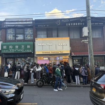 Molly Tea - Bubble Tea Near Me - Flushing, New York