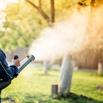 Midwest Pest Control - Pest Control Near Me - Tulsa, Oklahoma