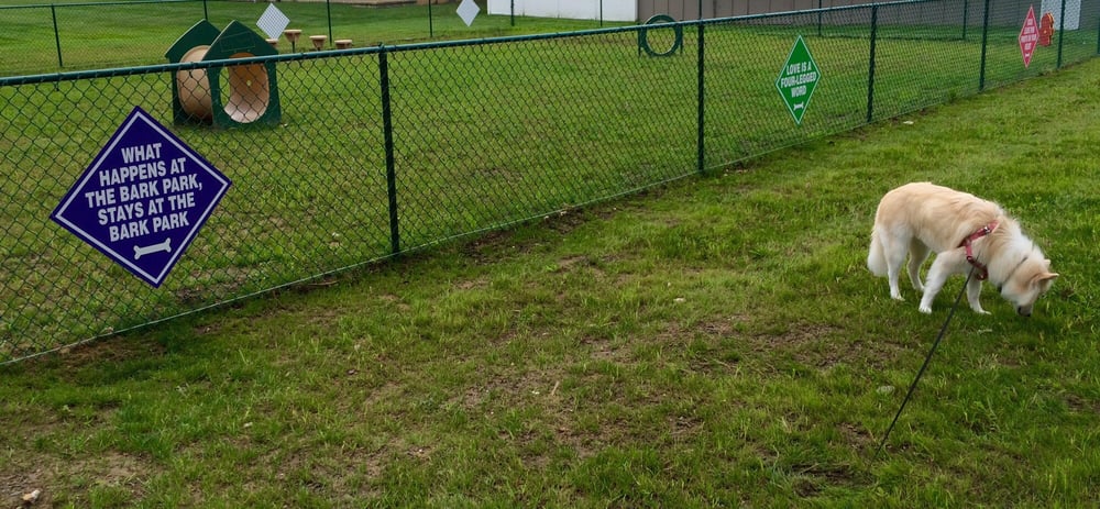 Eastampton Gardens Dog Park Image