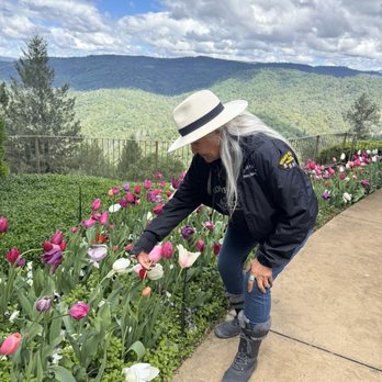Crystal Hermitage Gardens - Community Gardens Near Me - Nevada City, California