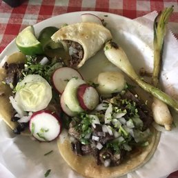 Lengua / Tongue Lengua / Tongue