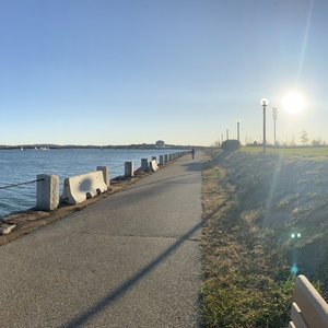 University of Massachusetts Boston on Yelp