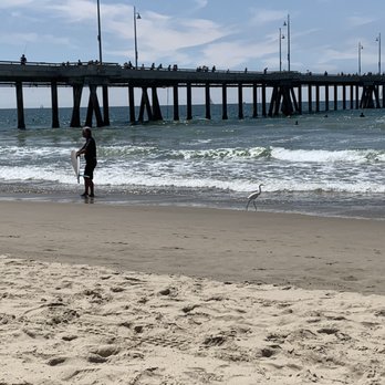 Venice Statepark - Beaches Near Me - Venice, California Venice Statepark - Beaches Near Me - Venice, California