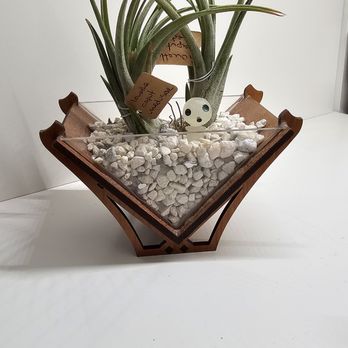 Terraplanted - Home Decor Near Me - Seattle, Washington Terraplanted - Home Decor Near Me - Seattle, Washington