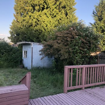 NF Junk Removal & Landscape - After of overgrown lawn - Landscaping Near Me - Seattle, Washington NF Junk Removal & Landscape - After of overgrown lawn - Landscaping Near Me - Seattle, Washington