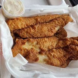 Wings Go - Catfish
