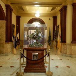 New Jersey State House Tours - State bird Gold Finch porcelain figurine in State House NJ.
