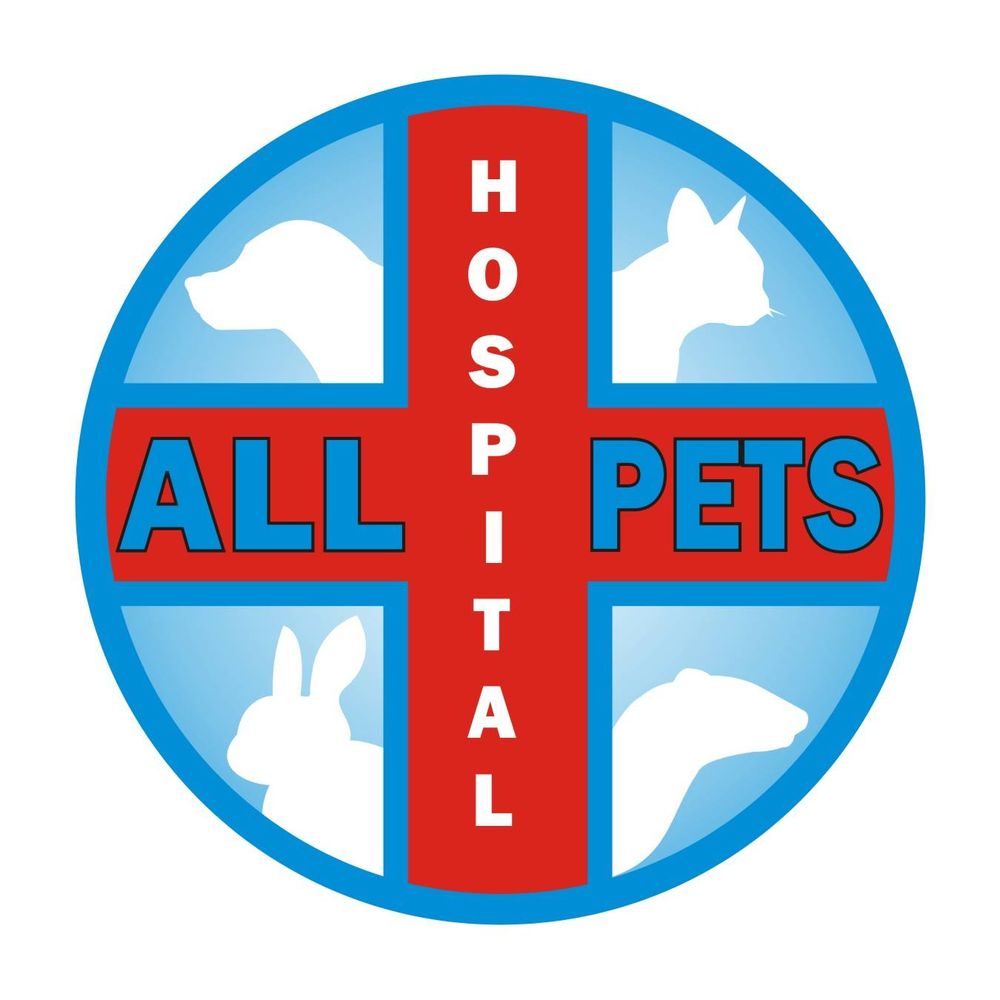 All Pets Hospital New Port Richey