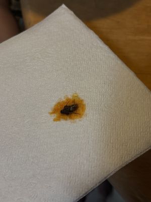 Vietnam House by null