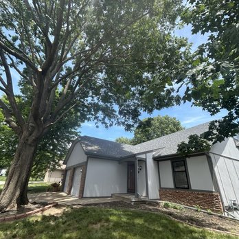 Affordable Moore's Tree Services - After trimming - Tree Services Near Me Affordable Moore's Tree Services - After trimming - Tree Services Near Me
