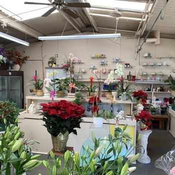 The Flower Market - Florists Near Me - Monterey, California