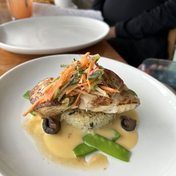 Shore - Miso Grouper - New American Near Me - Longboat Key, Florida Shore - Miso Grouper - New American Near Me - Longboat Key, Florida