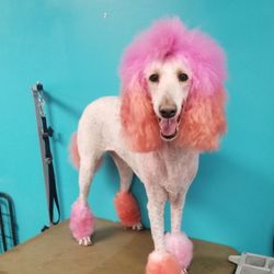 Grooms by Nicole - My girl Winter