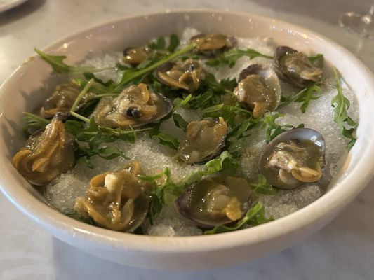 Park Tavern on Washington Square by null