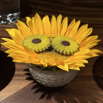 Enclos - Sunflower seed butter chocolates - French Near Me - Sonoma, California Enclos - Sunflower seed butter chocolates - French Near Me - Sonoma, California