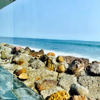 Duke's Malibu - The view from our seating. - New American Near Me - Malibu, California Duke's Malibu - The view from our seating. - New American Near Me - Malibu, California