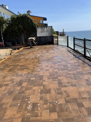 San Diego Green Planters