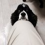 Photo of Linda S Falconio, MD