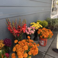 Guy's Flowers