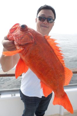 richards bait and tackle