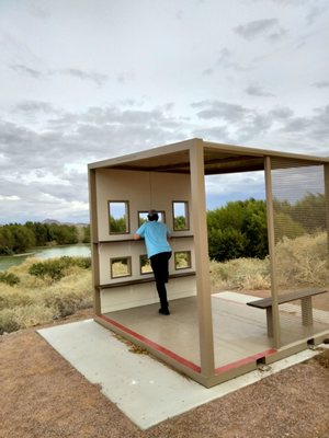 Henderson Bird Viewing Preserve by null