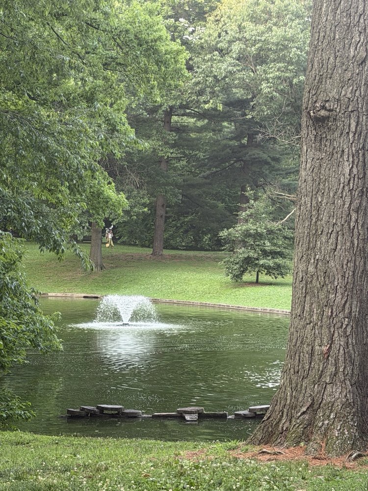 Pastorious Park Image