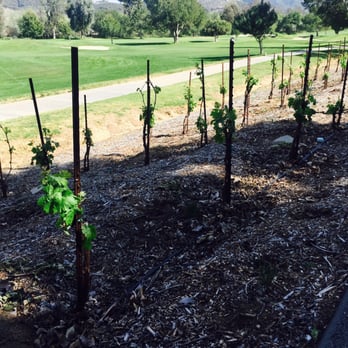 Pala Mesa Resort - New vines... - Golf Near Me - Fallbrook, California Pala Mesa Resort - New vines... - Golf Near Me - Fallbrook, California