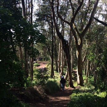 Mount Davidson Park - Going up the trail, very easy to walk! - Parks Near Me - San Francisco, California
